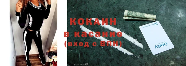 крисы Алзамай