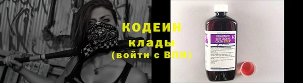 дживик Абинск