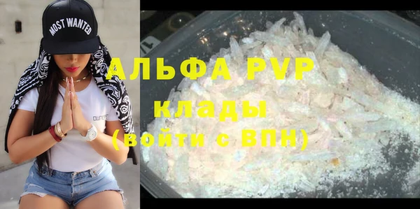 крисы Алзамай