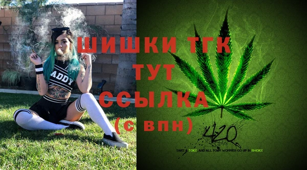 ПСИЛОЦИБИНОВЫЕ ГРИБЫ Алексеевка