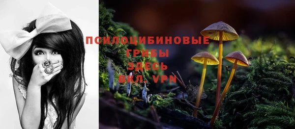 ПСИЛОЦИБИНОВЫЕ ГРИБЫ Алексеевка